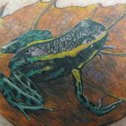 Tattoo of frog