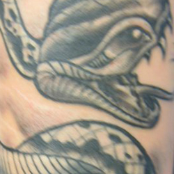Tattoo of snake