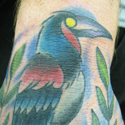 Tattoo of bird