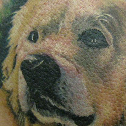 Tattoo of dog